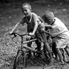 Executive Flow Assurance - 1 day